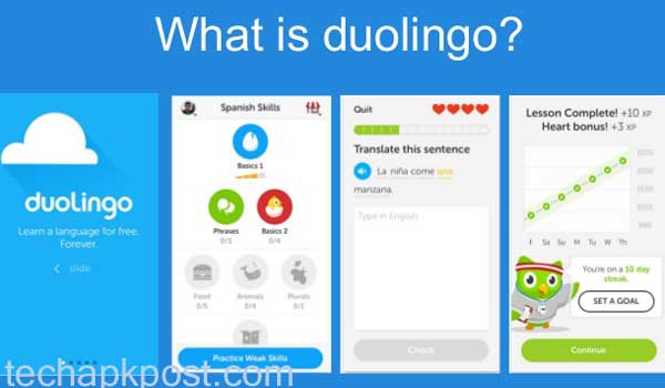 Duolingo For PC Windows 7